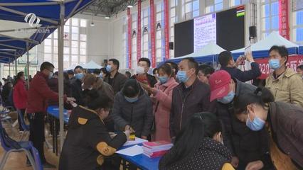 株洲市“就業(yè)創(chuàng)業(yè)地圖”上線，精準(zhǔn)導(dǎo)航職業(yè)中介服務(wù)新體驗